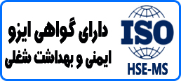 HSE-MS